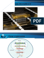 Final Microarray1