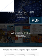 Intellectual Property (IP)