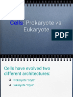 3.2.) Prokaryotic and Eukaryotic Cells (BIO40)