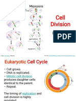 3.4.) Cell Division, Mitosis and Meiosis (BIO40)