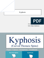 Kyphosis Assignment