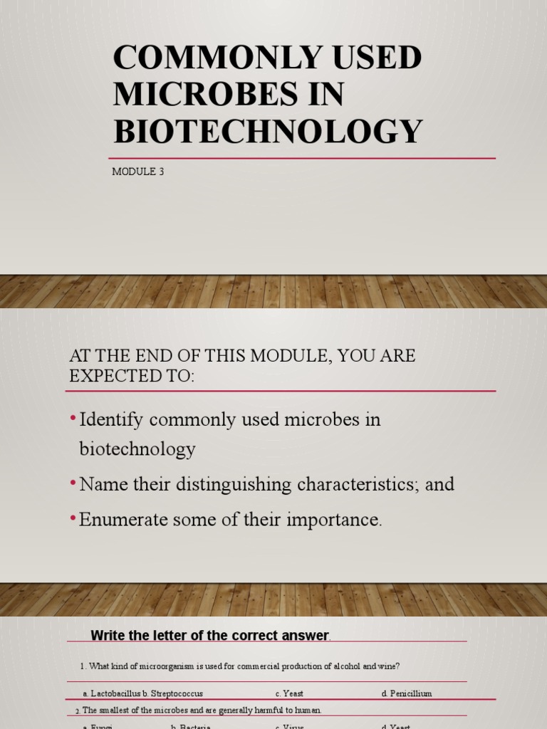 Microbes Used In Fermentation