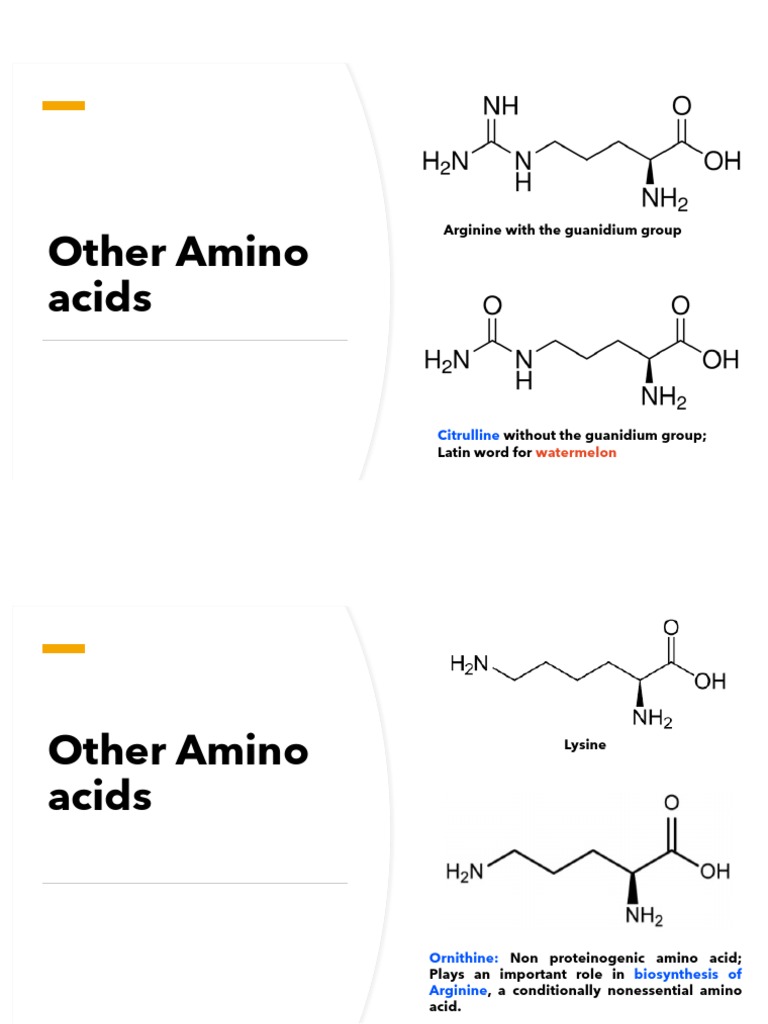 Btech bioscience lectures 2022 pdf alpha helix beta sheet