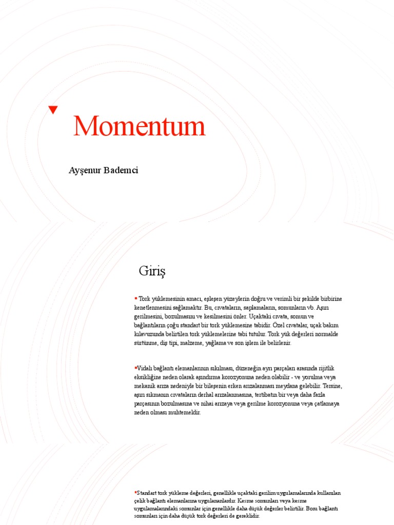 Momentum Pdf