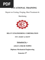 Hec Report Aman