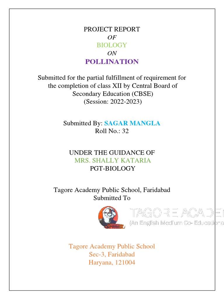 Pollination Project New 2 Pdf Pollination Flowers