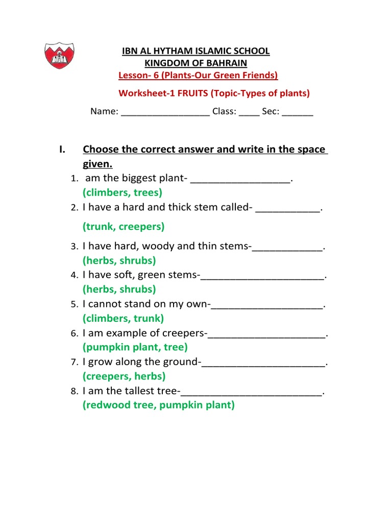 Plants Our Green Friend Fruits Pdf Plants Leaf