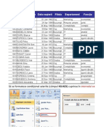 REZOLVARE Aplicatia 2 - Formate Personalizate + Formatarea Conditionala