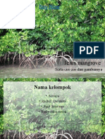 Mangrove Jenis dan Ciri
