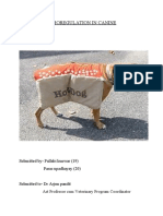 Thermoregulation in Canine by Roll No 19 and 20