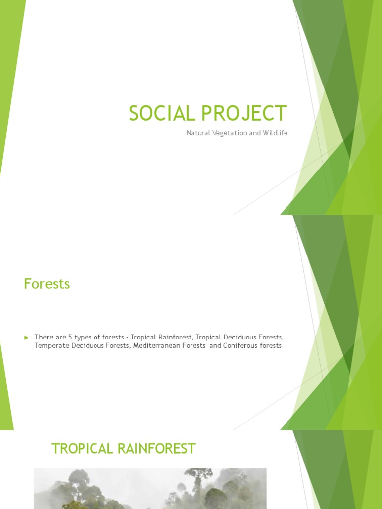 Social project pdf forests rainforest
