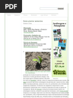 Como Plantar Sementes _ Jardineiro