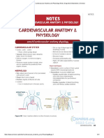 Cardiovascular Anatomy and Physiology Notes - Diagrams & Illustrations - Osmosis