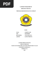 Download Preparasi Kromosom Bawang Merah by Darwin azis SN61743913 doc pdf