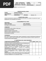 Perfil analista sistemas