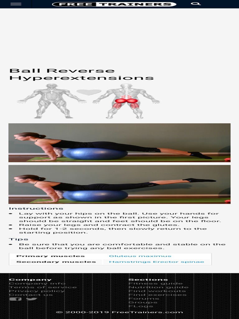 Ball Reverse Hyperextensions Exercise Technique & Definition PDF