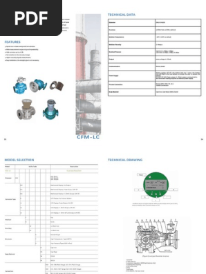 Oval Gear