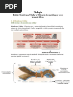 Resumo Matéria - Membrana&Obtencaomateriahetero