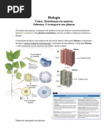 Resumo Matéria - Transporte nas plantas