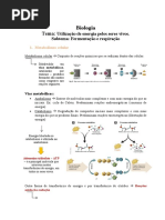 Resumo Matéria - Utilização de energia