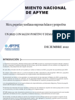 Relevamiento de Apyme Del Mes de Diciembre de 2022