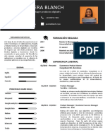 Plantilla Curriculum Gratis 25