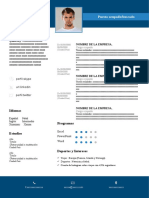 117 Curriculum Vitae Decathlon