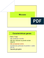 Dermatomicose: Características e Diagnóstico