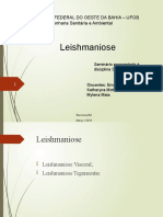 Slide - Leishmaniose