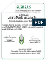 Juliana Murillo Bustamante 2020
