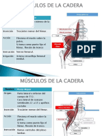 Miología de Miembro Inferior.