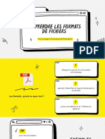 Comprendre Les Formats de Fichiers