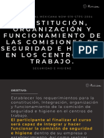 Nom-019-Stps-2004 Comision de Seguridad e Higiene