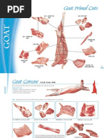 Chicken Cuts and Anatomy Guide | PDF | Chicken | Poultry