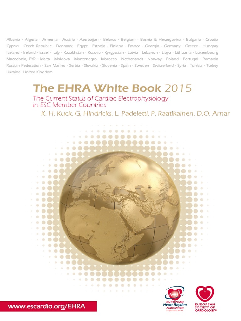 Ehra White Book 2015 Web Final 1 | Download Free PDF | Artificial ...