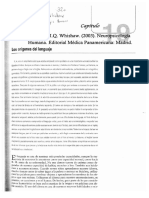 B Kolb Amp Iq Whishaw 2003 Neuropsicologia Humana Editorial Medica Panamericana Madrid