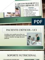 Nutricion en Paciente Critico Adulto Mayor1