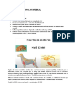 Afecções Da Coluna Vertebral