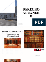 S09.s1. Semana 09 - Derecho Aduanero