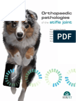 Orthopaedic Pathologies of The Stifle Joint (VetBooks - Ir)