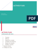 Auditoría de Activos Fijos Oct-2017