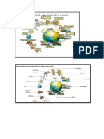 Biología Imagenes