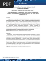 Download Lignocelulosa by Yaiver Vargas SN61751716 doc pdf