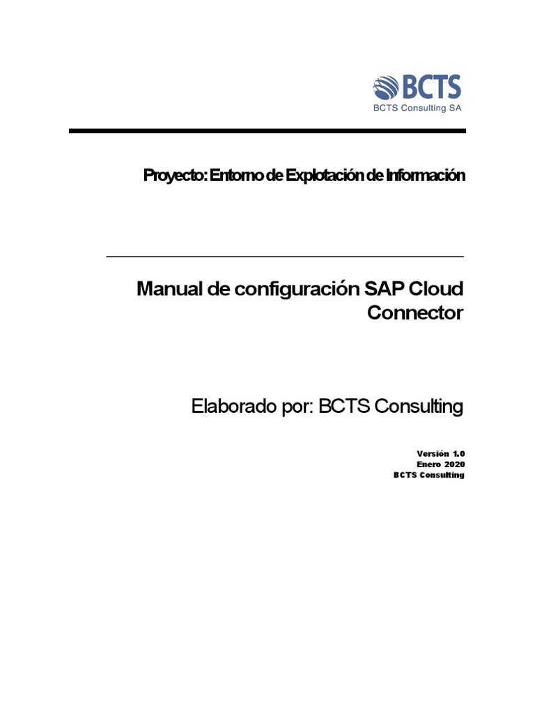 Manual de Configuración SAP Cloud Connector | PDF | Java (lenguaje de ...