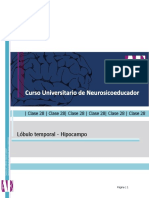 Lóbulo temporal hipocampo funciones