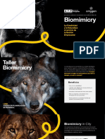 Taller Biomimicry Mba