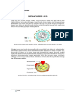 Metabolisme Lipid (2102020041)