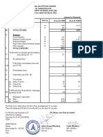 P&L PDF