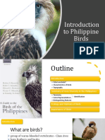 Introduction to Philippine Bird Identification