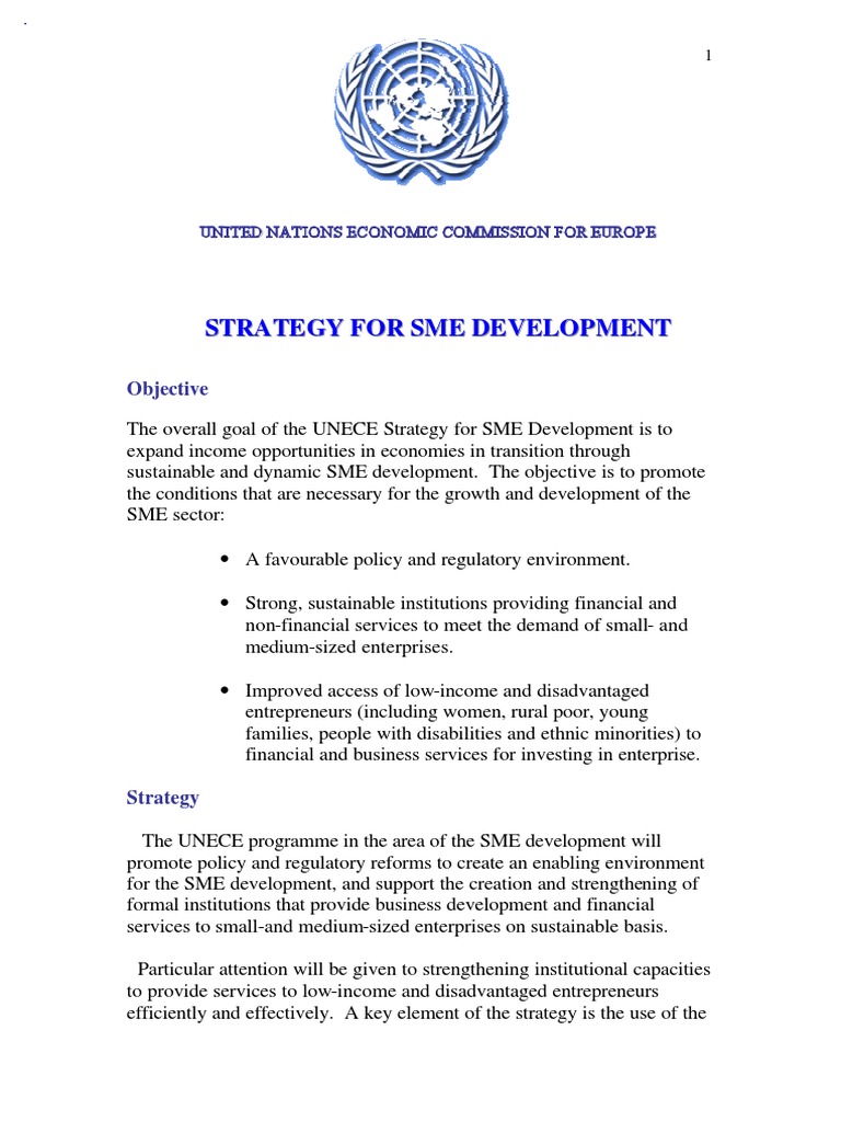 SME Development Plan | PDF | Small And Medium Sized Enterprises